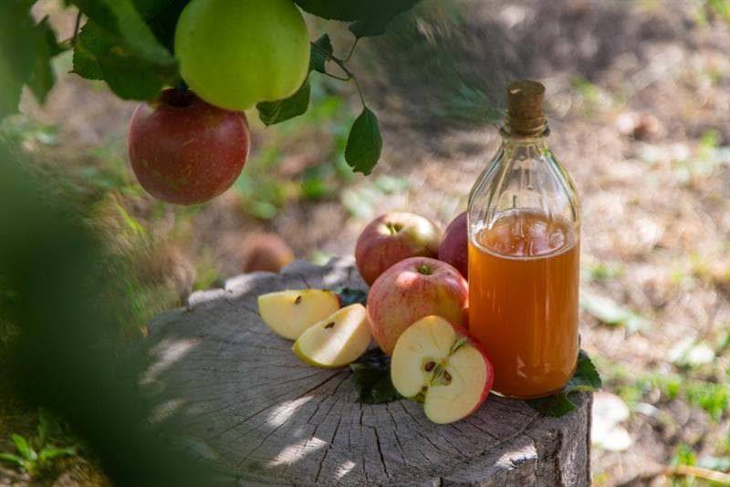 Apple cider vinegar and apple under a apple tree