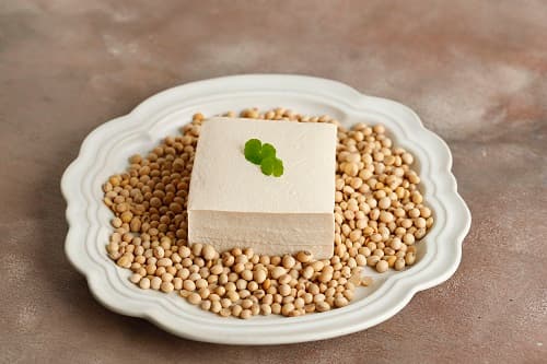 tofu protein per 100g