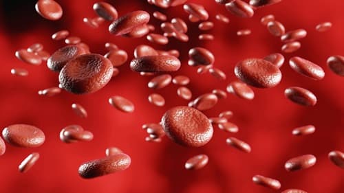 how-to-increase-hemoglobin