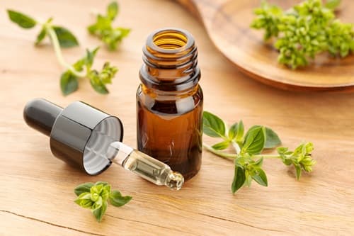 oregano oil