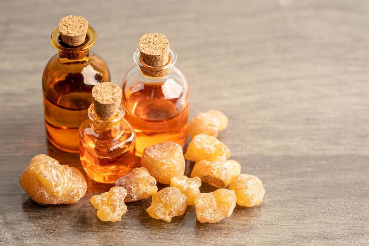 Boswellia serrata|Shallaki