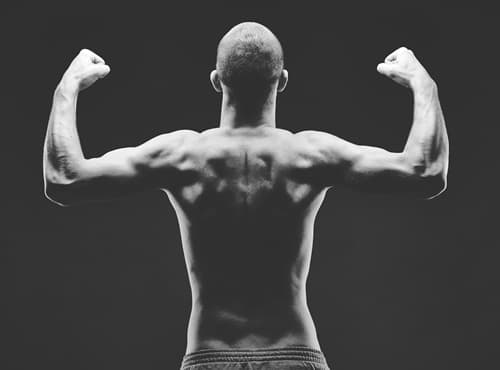 how to increase testosterone
