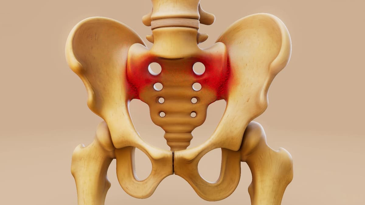 iliac crest|pelvic bone||Sacrel Region