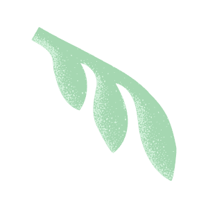 full-leaf