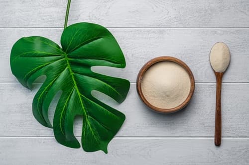 top-10-marine-collagen-benefits-for-overall-health