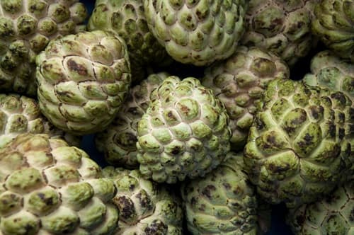 custard-apple