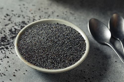 sabja-seed