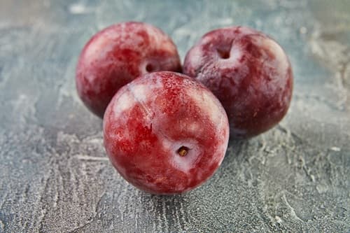 plum-fruit-benefits-and-nutrition