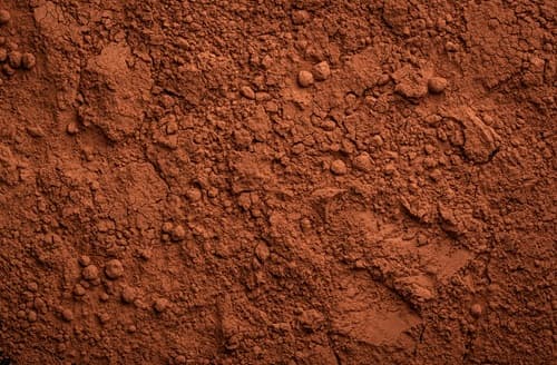 What Happens to Your Body When You Eat Cocoa Powder Every Day?