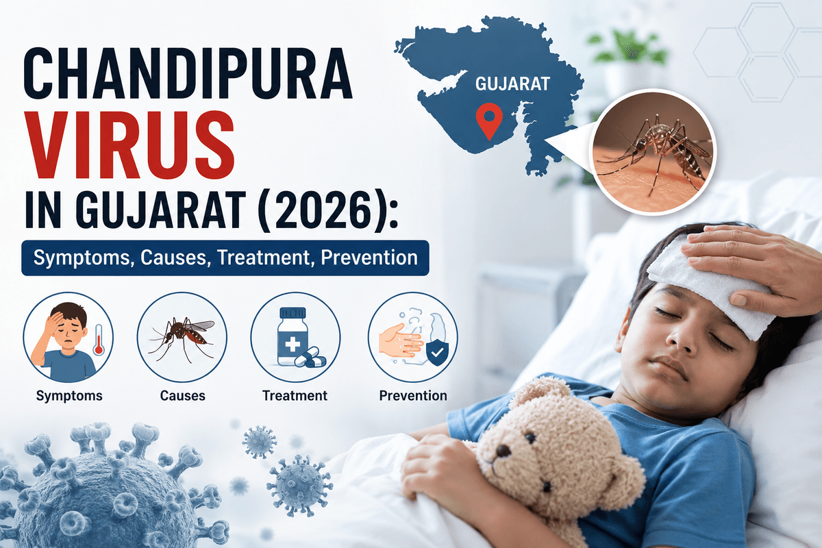 chandipura virus gujarat