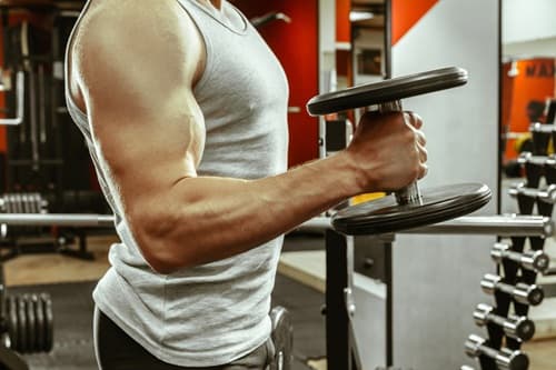 biceps-and-triceps-workout